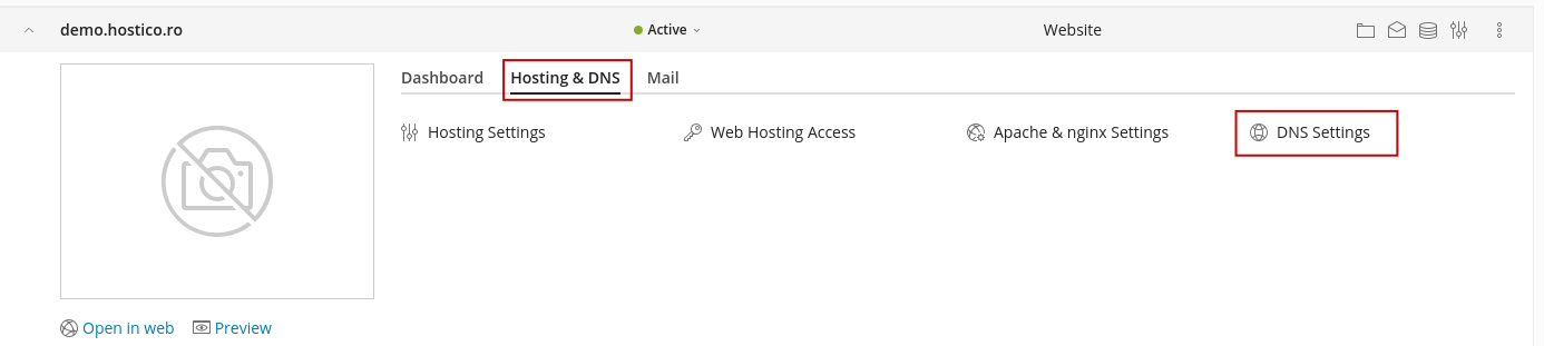 DNS-instellingen Plesk